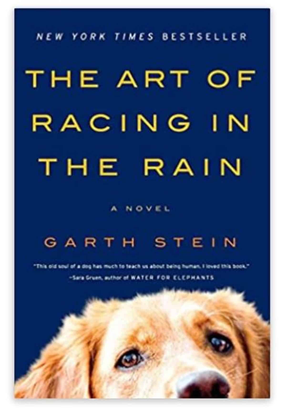 a novel: the art and sign of racing in the rain 