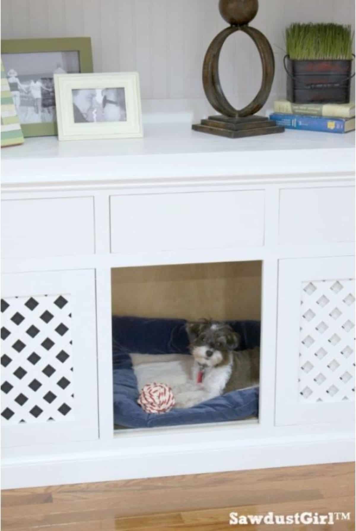 DIY built in bookshelf dog crate