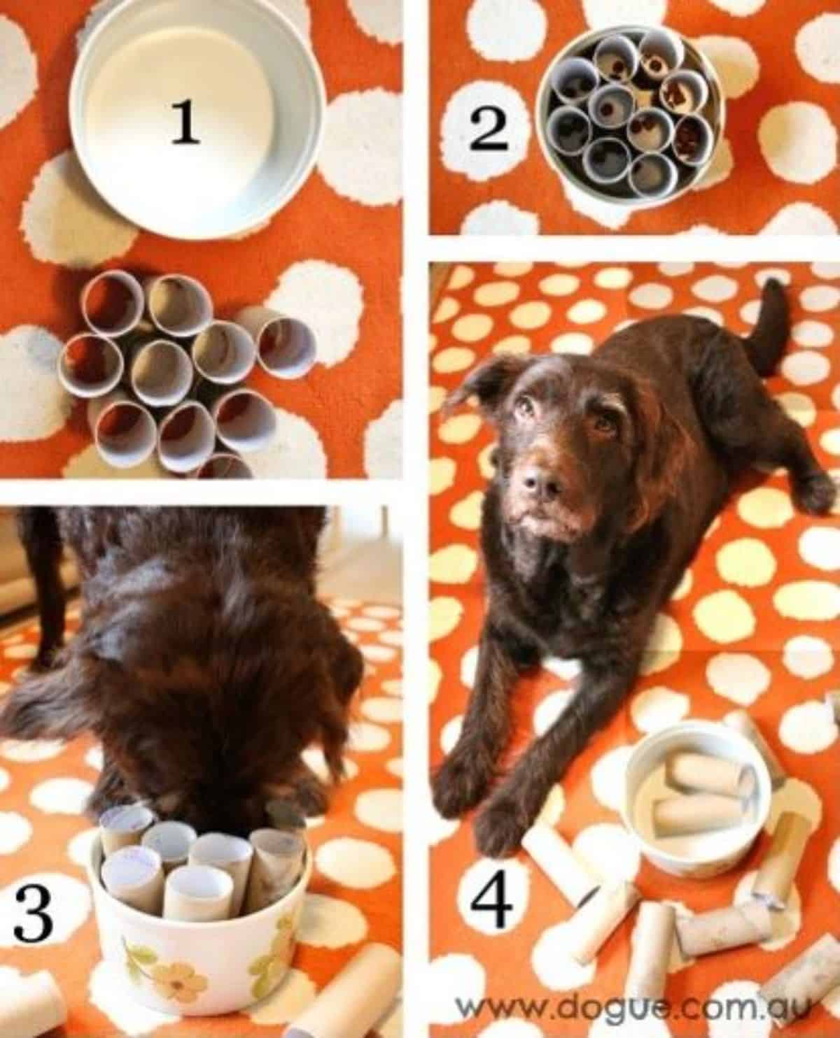 DIY dog paper and treats