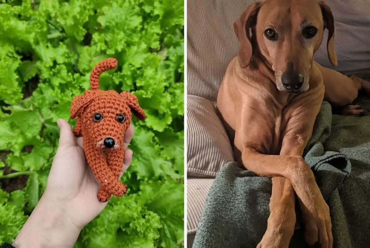 custom crochet dog 