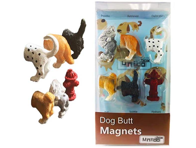 dog butt magnet 