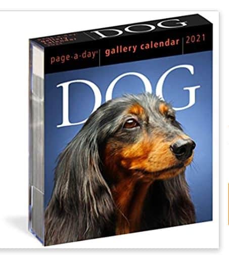 fun dog page calendar 
