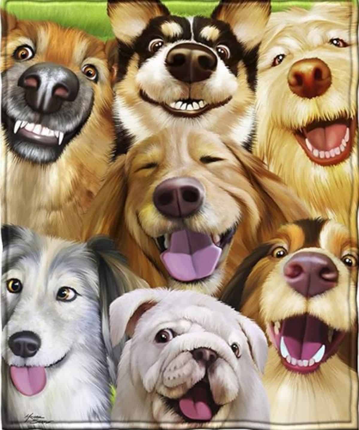 cute dog selfie blanket 