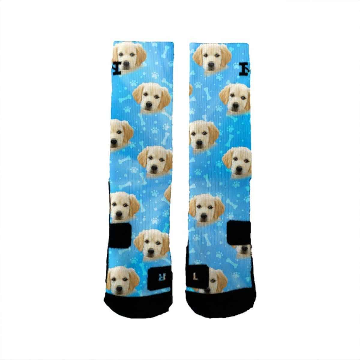 face of you dog socks 