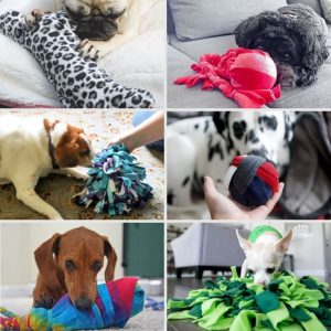 images of dog playing with toys