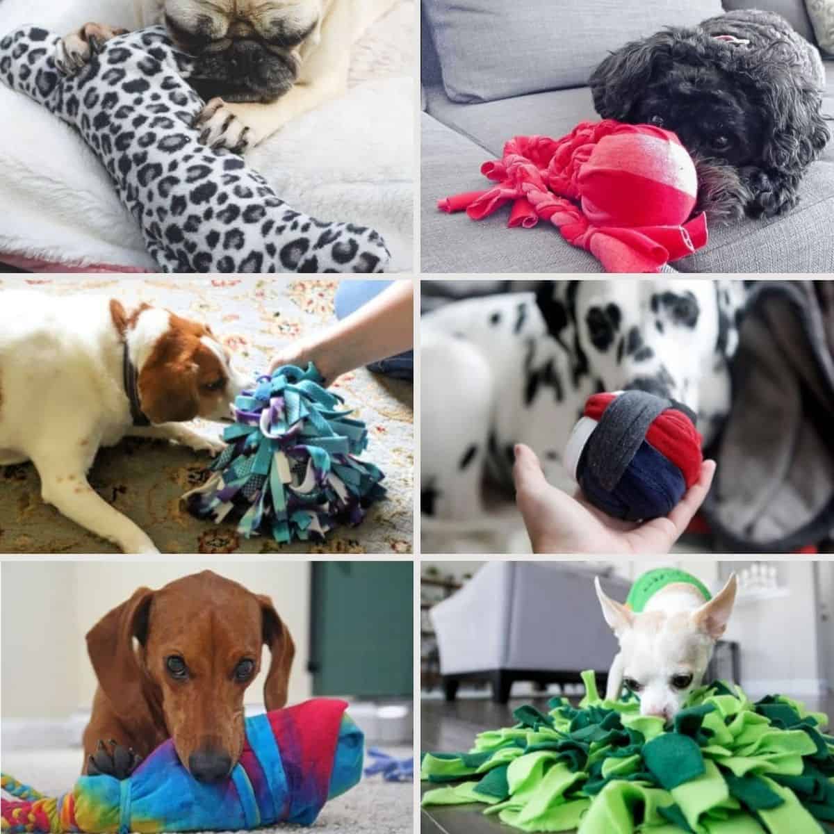 https://www.thepaws.net/wp-content/uploads/2021/02/dog-toys-fb-1.jpg