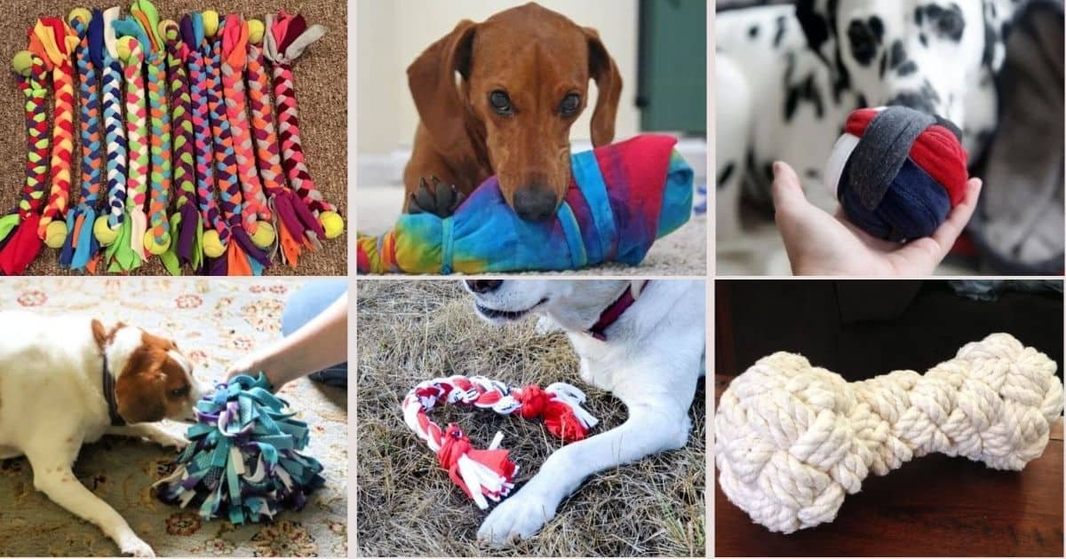 50 DIY Dog Toys You Can Do In No Time {With Tutorials} The Paws