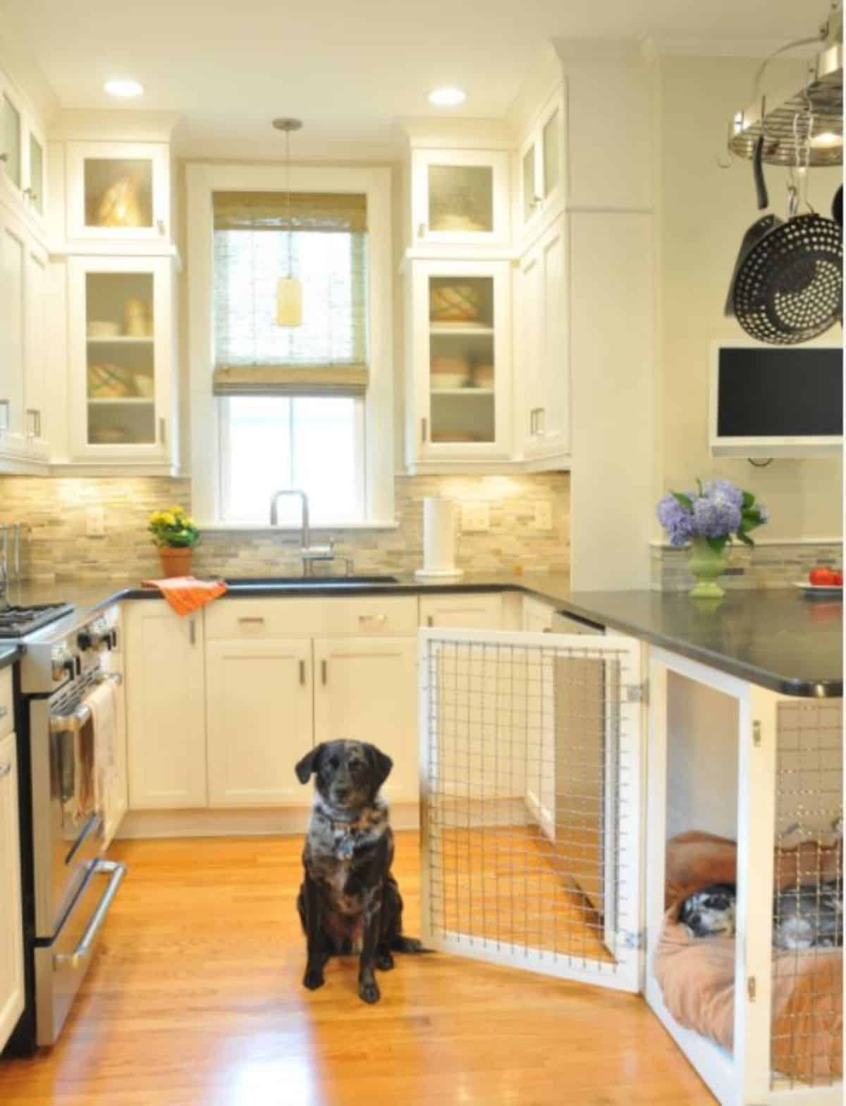 Built in Kitchen dog crate