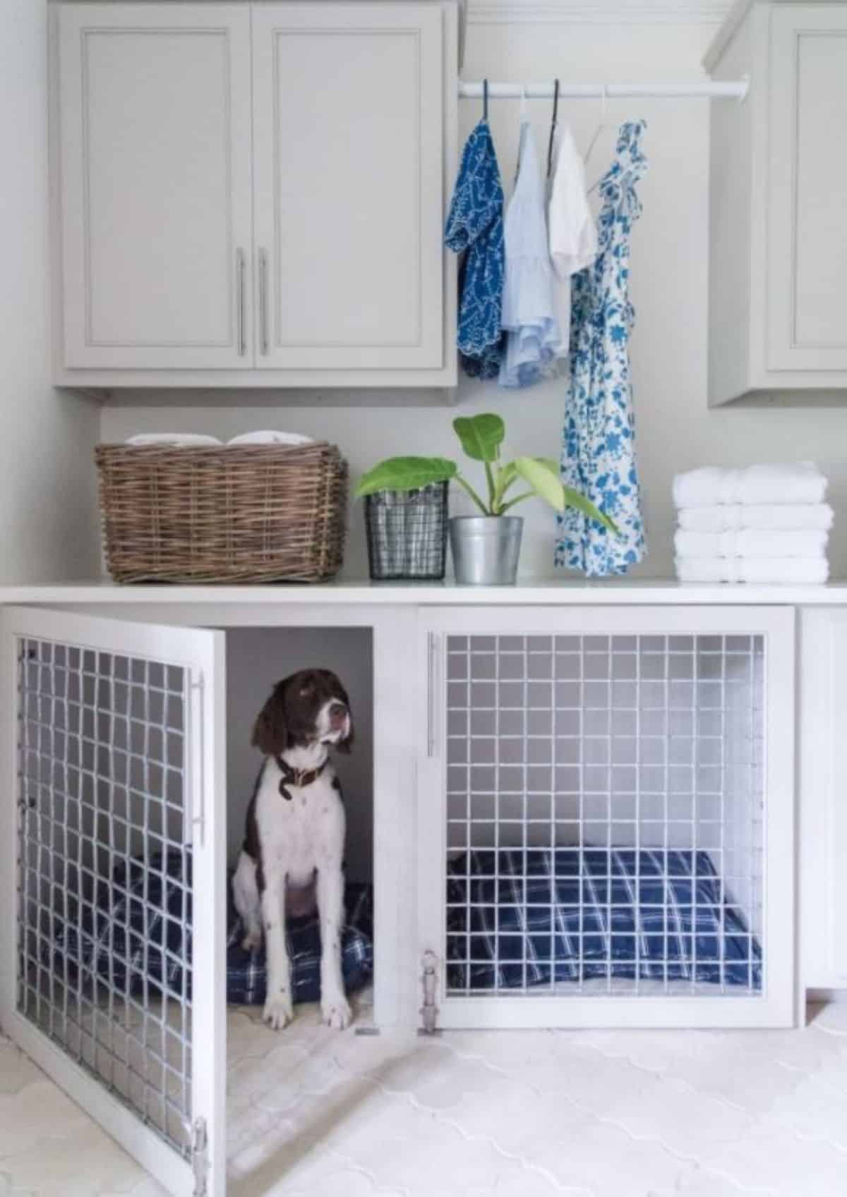 laundy room dog crate idea