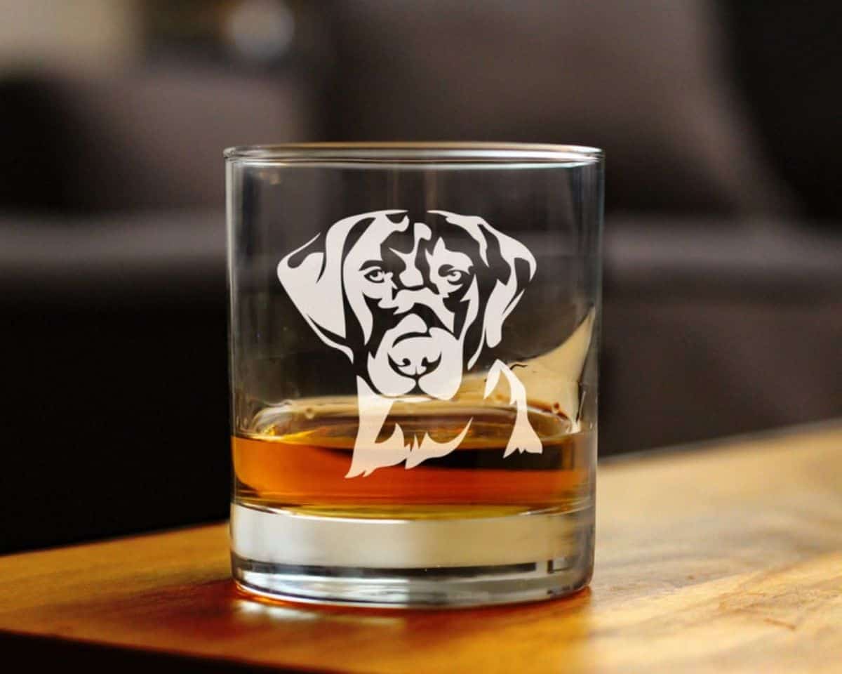 dog faced glass