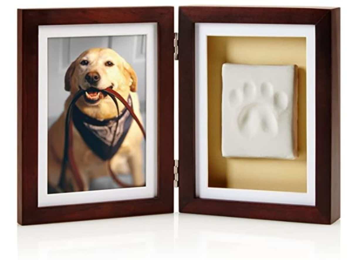 picture frame and pawprint