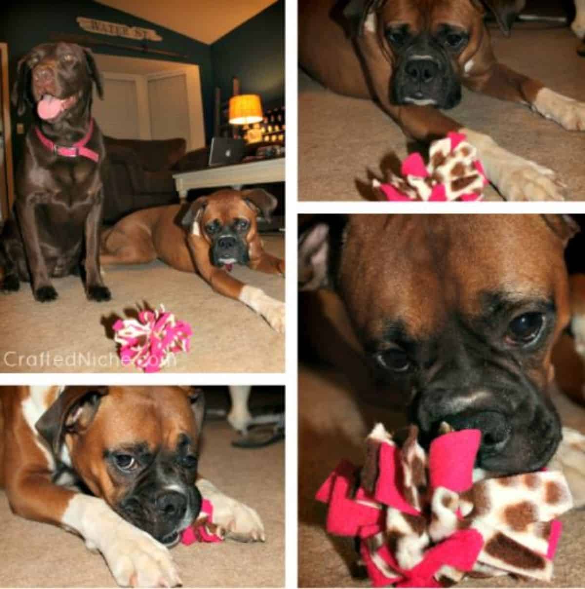 DIY puff dog toy
