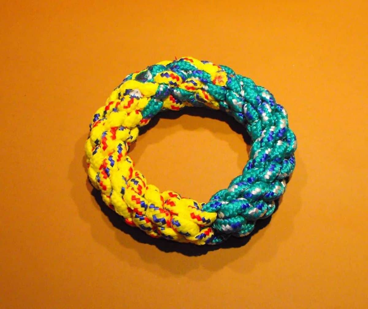DIY ring rope dog toy 