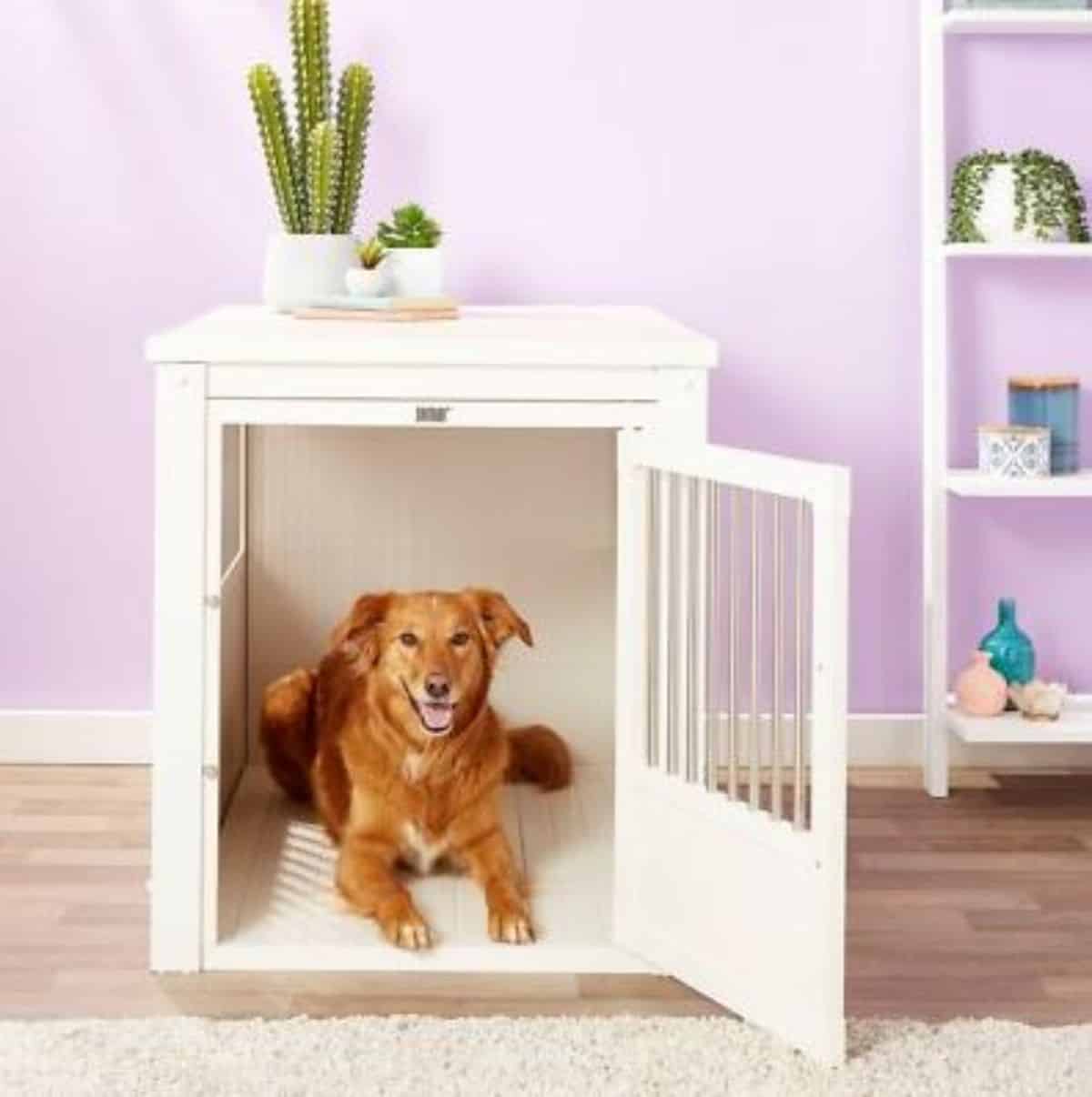 singe door dog crate idea