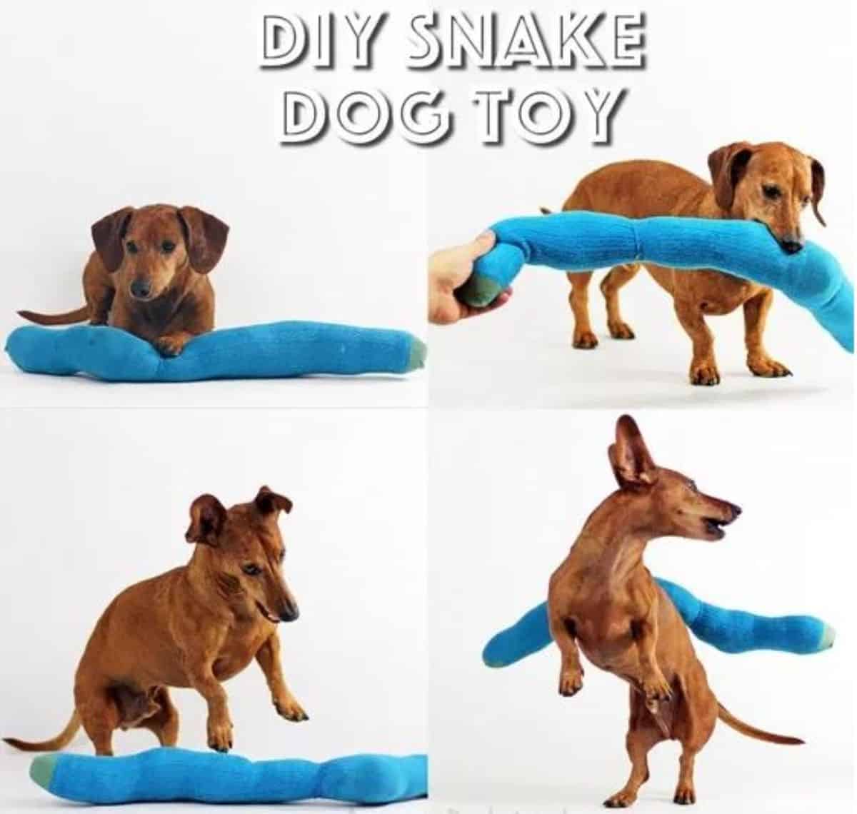 DIY snake dog toy 