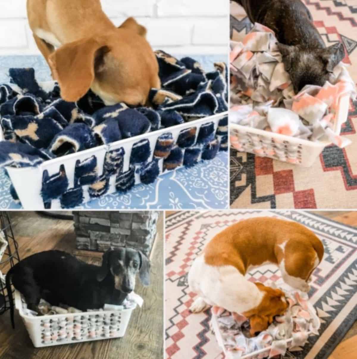 DIY dog snuffle basket