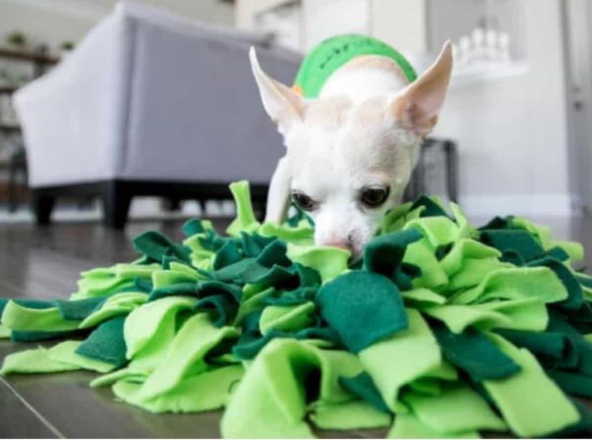 DIY snuffle Mat