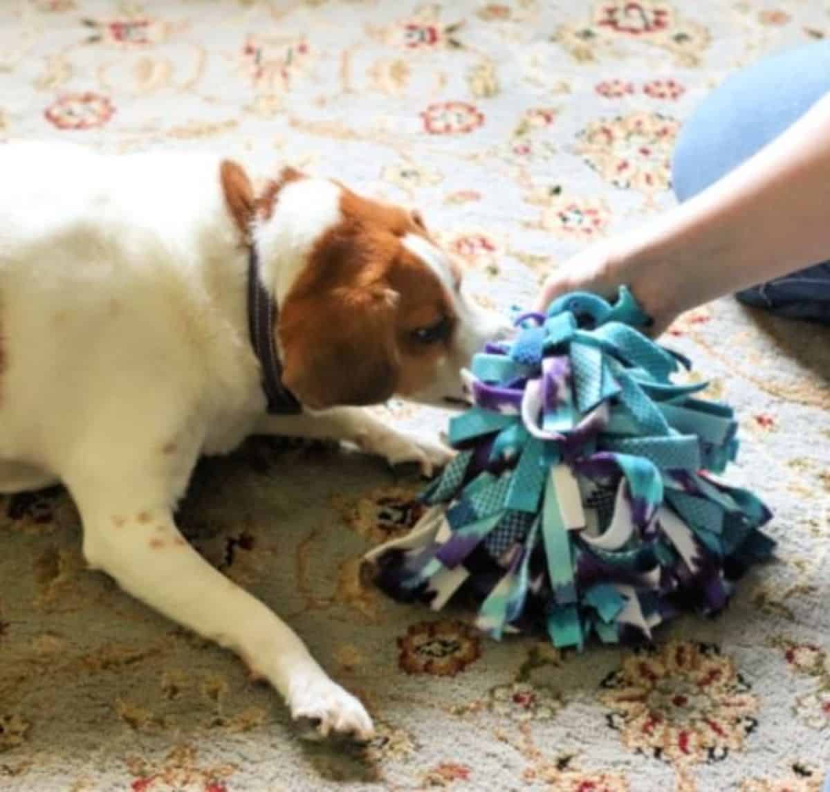 DIY snuffle ball dog toy