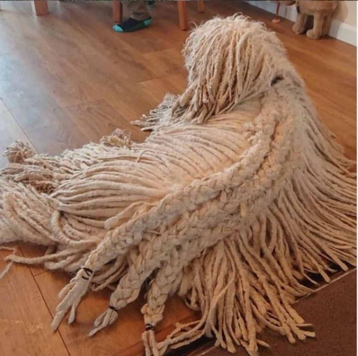 pom's dreadlocks in style